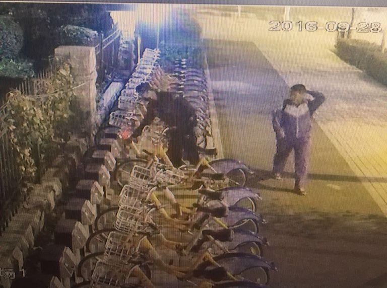 zoty中欧体育·(中国集团)官方网站