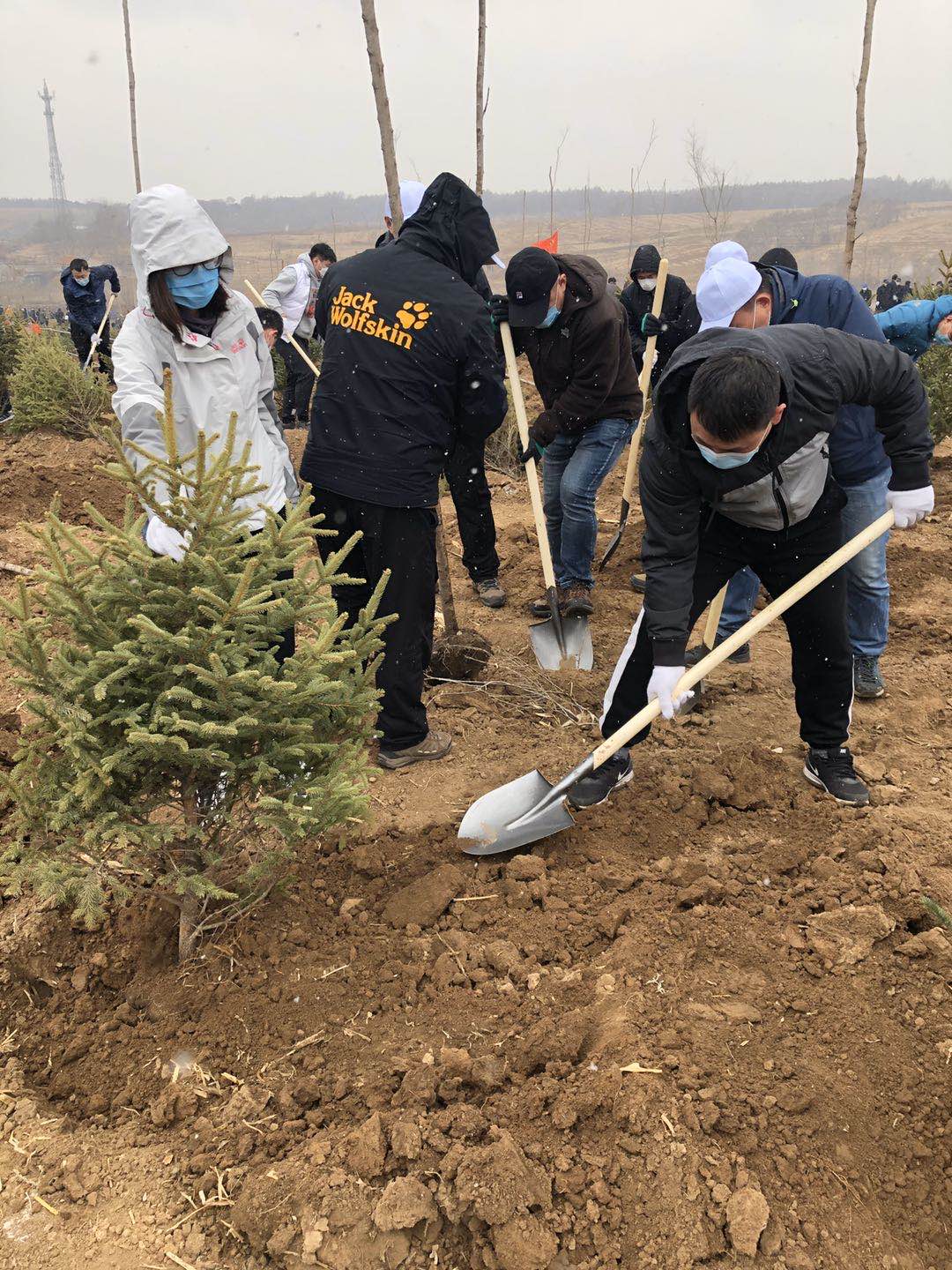 zoty中欧体育·(中国集团)官方网站