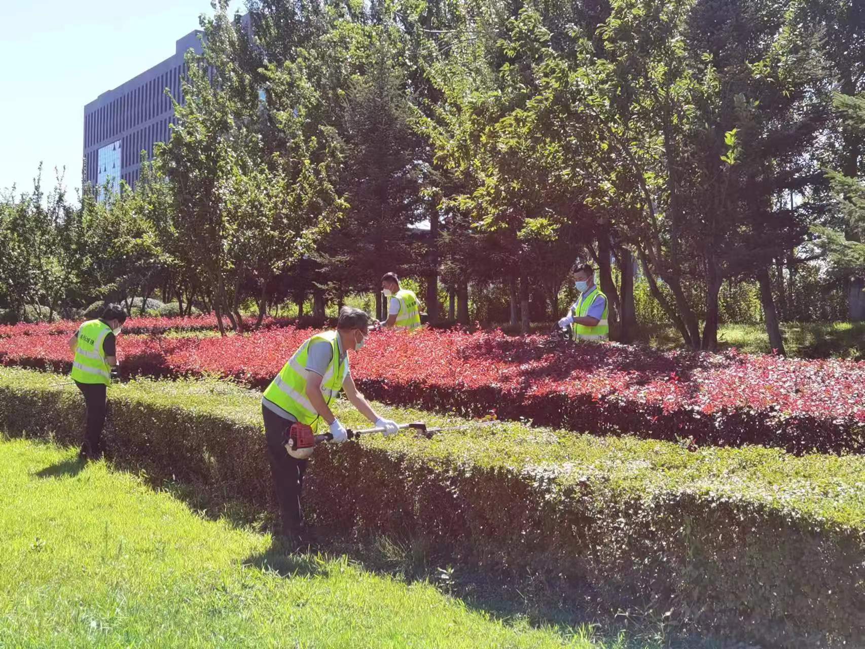 zoty中欧体育·(中国集团)官方网站