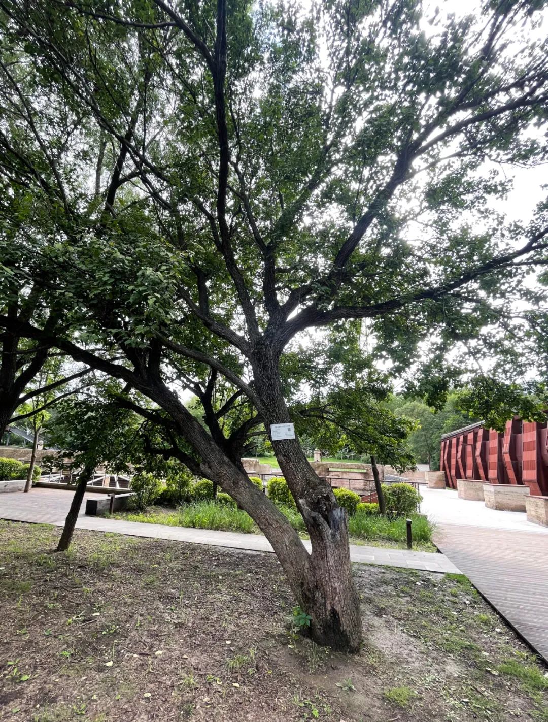 zoty中欧体育·(中国集团)官方网站